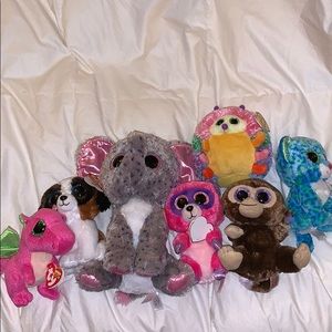 Beanie Boo Bundle
